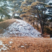 8세 휘 진공 묘소 (8世 諱 進公 墓所)